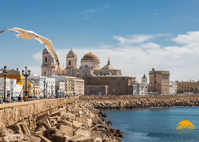 Sagasta 1750 By Time *